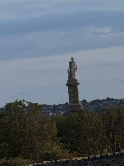 A daytime, elevated exterior photograph captures the Duke of Wellington Monument in Tynemouth, North Tyneside, United Kingdom. The central subject is a tall, grey stone statue depicting a robed figure, standing atop a robust, multi-tiered rectangular stone plinth. A small, light-colored bird is perched directly on the apex of the statue's head. The lower foreground features a dark, rough-hewn stone wall, behind which dense, dark green trees and foliage obscure the base of the monument and extend across the bottom third of the frame. In the mid-ground, behind and to the sides of the monument, a residential cityscape unfolds across a distant hillside, characterized by numerous houses with varying rooftops. A thin, vertical structure, possibly a telecommunication mast, is faintly visible among the distant buildings. The background consists of an overcast sky, dominated by shades of grey and muted blue clouds, providing diffused natural light to the entire scene.