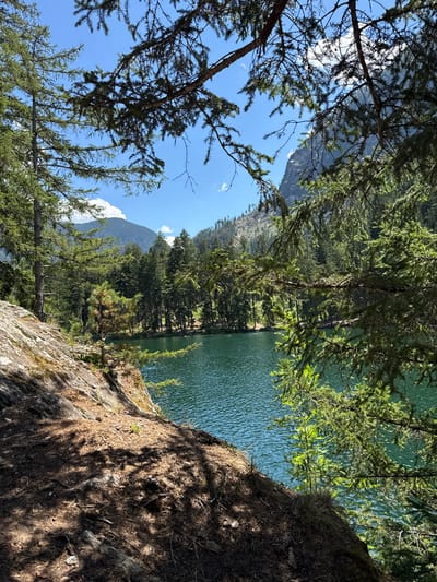 The image depicts a serene natural landscape, likely a lake and surrounding forest, with a clear blue sky overhead. The foreground is dominated by a rocky, uneven terrain covered with dry pine needles and shadowed by the branches of evergreen trees. These branches, adorned with needle-like leaves, frame the view, creating a sense of looking through a natural archway.

In the mid-ground, a calm, turquoise lake stretches across the frame, its surface rippled by a gentle breeze. The shoreline is dense with a variety of evergreen trees, their dark green foliage contrasting with the bright sky. Beyond the lake, rolling hills and mountains rise in the distance, their slopes also covered in dense forest. The overall impression is one of tranquility and natural beauty.

While the image itself does not explicitly identify the location as Oetz, Austria, the presence of alpine flora and mountainous terrain is consistent with such a setting. The scene suggests a secluded spot, perhaps a hiking trail or a viewpoint overlooking the lake. The lighting indicates it is daytime, with the sun casting distinct shadows. There are no people or animals visible in the immediate frame, emphasizing the peaceful isolation of the environment.