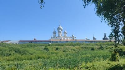 An eye-level, wide shot captures a sunlit, distant view of the Rostov Kremlin in the city of Rostov, Russia, on a clear, bright day with a vast expanse of blue sky. The Kremlin, a historical architectural complex, stands prominently on a grassy hill, its white walls and numerous silver domes forming a striking silhouette against the sky. A stone wall with a reddish-brown tiled roof encircles the complex. The foreground is dominated by a lush, verdant meadow teeming with various green plants, including tall reeds near the bottom of the frame. Foliage from a nearby tree, with light green leaves, partially obscures the upper right corner of the image, casting subtle shadows. No people or animals are visible in the frame. The overall scene is one of peaceful, historic grandeur set amidst a natural landscape.