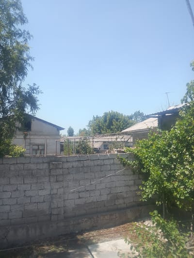 This image depicts an outdoor scene on a clear, sunny day in Bagzar, Uzbekistan. In the foreground, a low, grey cinder block wall runs horizontally across the frame. Beyond the wall, a light-colored building with a sloped, corrugated metal roof is visible. A ladder is propped against the side of this building, leading up to an open, dark window. To the right of this building, other structures with similar roofs are present, some partially obscured by lush green foliage. Trees with dark green leaves are scattered throughout the background. The sky is a uniform, pale blue. The overall impression is one of a residential or possibly agricultural area.