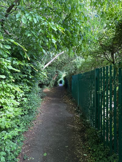 A narrow, asphalt pathway winds through a verdant tunnel of trees and foliage. To the left, dense green bushes and leafy branches overhang the path, creating a shaded canopy. To the right, a tall, dark green metal palisade fence runs parallel to the path, with ivy and other greenery growing up its posts. The path itself is strewn with fallen leaves and small twigs, indicating it is in a natural or park-like setting. The pathway disappears into the distance, curving slightly and becoming darker, suggesting a longer route ahead. Sunlight filters through the leaves, dappling the ground and creating a sense of depth and mystery. The overall impression is one of a secluded, natural passage within an urban environment. The image is likely located in High Wycombe, United Kingdom, given the presence of well-maintained fencing and lush vegetation common in its green spaces.