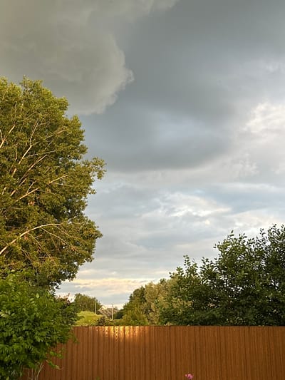 This is a vertical, wide-angle outdoor photograph taken from a low perspective looking up towards the sky. The image is dominated by a dramatic sky filled with a mix of dark, ominous storm clouds on the left and lighter, wispy clouds with patches of blue sky and sunlight on the right. This suggests a transition in weather, possibly an approaching storm or the clearing after one.
In the foreground, the tops of several lush green trees fill the bottom portion of the frame, their branches reaching upwards. The leaves are dense and appear healthy, backlit by the sky. To the far right, a section of a brown, corrugated fence runs vertically, casting a warm, golden light on its surface due to the setting sun. A single pink flower is visible attached to the fence, adding a small splash of color.
In the middle ground, a line of trees and greenery stretches across the horizon. Beyond the trees, a faint structure, possibly a building or a solar panel array, can be seen on a grassy hill under the brighter sky. The overall scene evokes a sense of natural beauty with a hint of dramatic weather. The lighting suggests it is late afternoon or early evening. The location context of Zvenyhorodka, Ukraine, places the scene in a rural or semi-rural Ukrainian setting. There is no visible text in the image.