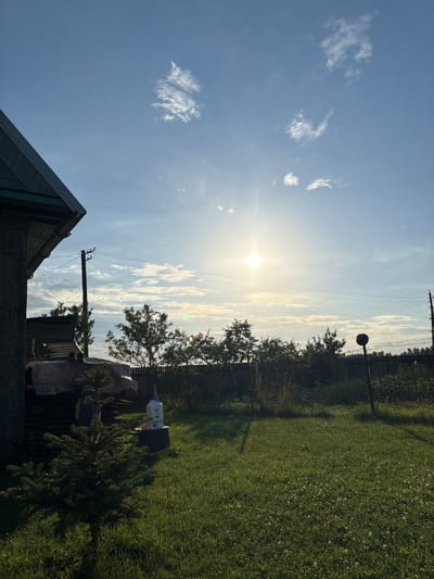 The image depicts a rural backyard scene under a bright, sunny sky with scattered clouds. In the foreground, a small evergreen tree stands in a lush green lawn dotted with white clover flowers. To the left, the corner of a grey, weathered building with a dark roof is visible. Behind the building, a tarp covers some stacked lumber. Further back, a wooden fence runs horizontally across the midground, separating the yard from trees and vegetation. A utility pole with wires crosses the sky. In the right midground, a black circular object on a pole is partially visible. The overall environment suggests a residential area in a rural setting, consistent with the location of Неманіцкі сельскі Савет, Belarus. There are no people or animals visible in the image.