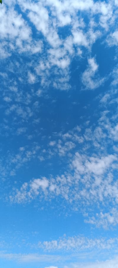 A clear, bright blue sky is filled with scattered white, fluffy clouds. The clouds are small and appear to be cirrocumulus or altocumulus formations, indicating fair weather. The photograph is taken from a low angle, looking upwards. There is no indication of any structures, people, or activities, suggesting a natural outdoor scene. The location in Kulishi, Ukraine is not discernible from the image itself, as there are no geographical landmarks present.