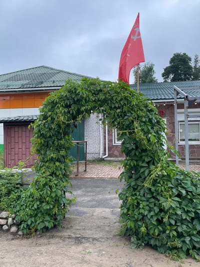 The image depicts an outdoor scene in the city of Plodovoe, Russia. In the foreground, a lush green archway formed by dense foliage, possibly ivy or Virginia creeper, dominates the frame. The archway frames a pathway leading towards a building. To the left of the archway, a low stone retaining wall is visible, partially covered by plants.
Behind the archway, a building with a green tiled roof is situated. The building's facade features orange siding on the left, with a dark-colored door visible. To the right of the orange section, the building is constructed with textured brown and lighter-colored stone. A red flag with a white hammer and sickle symbol is prominently displayed on a flagpole to the right of the orange siding section, flying against a cloudy sky. The ground in front of the archway appears to be a mix of dirt and gravel, with some cobblestone paving visible further back. The overall environment suggests a somewhat overcast day.