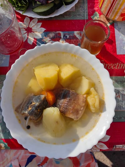 A close-up shot shows a white bowl filled with a hearty soup, likely a fish or meat stew, with large chunks of potatoes and pieces of protein submerged in a light-colored broth. There are also visible pieces of carrots and black peppercorns. The bowl rests on a red tablecloth with a floral pattern, partially obscured by the bowl and cutlery. To the left, a glass of red liquid, possibly juice or a cocktail, sits on the table. To the right, a small shot glass filled with amber-colored liquid, likely a drink, is present. In the background, a plate with sliced cucumbers and green salad can be seen, along with a colorful striped object, possibly another drink container. The scene appears to be an outdoor setting, indicated by the sunlight casting shadows and the natural ground visible in the lower portion of the image. The image was taken in Krestovo-Gorodishche, Russia.