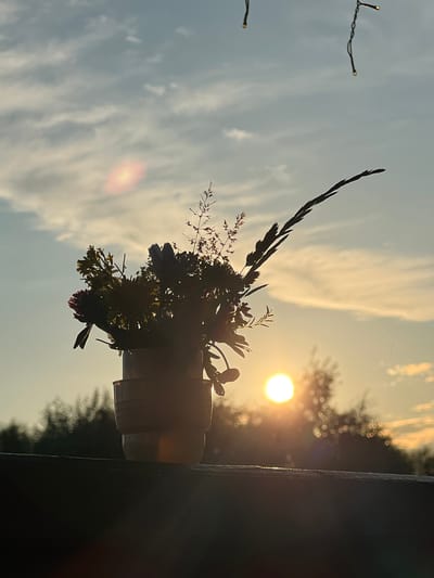A bouquet of wildflowers is silhouetted against a sunset sky, placed in a light-colored vase which appears to be stacked cups. The vase is positioned on a dark, horizontal surface, possibly a railing or ledge. In the background, a blurred line of trees is visible, with the sun glowing brightly and casting lens flares, creating circular bokeh effects. The sky is a gradient of blue and orange, with wispy clouds. Two strings of fairy lights are visible hanging from the top of the frame. The overall impression is one of a peaceful, natural scene with a touch of man-made decoration, set in an outdoor location.
