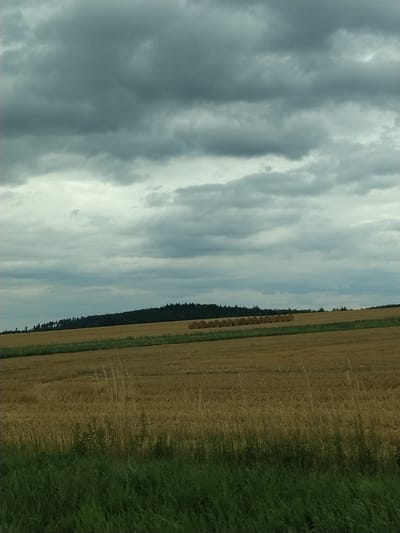 The image depicts a rural scene on a cloudy day, likely in the late afternoon or early evening given the lighting. The sky is filled with dramatic, overcast clouds, casting a muted light over the landscape.
The scene is divided into distinct sections: on the left, the vast expanse of the cloudy sky dominates. To the right, a harvested field of golden hay stretches towards the horizon, with neat rows of hay bales visible along its edge. A dark, dense line of trees borders the field, creating a stark contrast with the lighter hues of the sky and hay. In the foreground on the far right, a strip of vibrant green grass, possibly a meadow or verge, adds another layer of color to the composition.
The overall impression is one of a serene, agricultural setting shortly after harvest. There are no people or animals visible in the image, and no text is present. The weather appears to be on the verge of changing, with the heavy clouds suggesting the possibility of rain. The location is identified as Třešně, Czechia.
