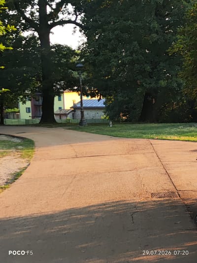 The image shows a paved pathway in a park in Collecchio, Italy, bathed in the warm light of what appears to be late afternoon or early morning sun. Large, mature trees with dark green foliage dominate the background, casting long shadows across the path. In the middle ground, several buildings are visible. One is a multi-story building with a yellow facade and windows. To its right, a smaller, rustic stone building with a small entrance is situated, and further right, a building with solar panels on its roof is seen. A lamppost stands between these structures. A small, light-colored dog or cat is visible on the grass near the trees. The pathway itself is a light brown color, with visible cracks and texture. The bottom right corner of the image displays the text "29.07.2026 07:20", and the bottom left corner shows "POCO F5". The overall scene depicts a tranquil outdoor environment within a park setting.
