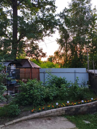 The image depicts a backyard scene in Kotovsk, Russia, during what appears to be late afternoon or early evening, judging by the warm sunlight filtering through the trees. In the foreground, a low, curved brick planter contains a row of small, vibrant marigolds in shades of yellow and orange, interspersed with red flowers and illuminated by several small, round garden lights on stakes. Behind the flowers, a dense bed of green bushes and other low-lying vegetation fills the space.
Further back, a light blue corrugated metal fence runs horizontally across the frame, partially obscured by the foliage. To the left of the fence, a small, open-sided gazebo with a brown metal roof stands. Inside the gazebo, various items are visible, including what appears to be a grill, a table with teacups, and decorative metal cutouts. Adjacent to the gazebo is a larger, more enclosed structure with a brown, corrugated metal roof and translucent, possibly plastic, siding.
The background is dominated by a dense canopy of green trees, with the warm glow of the setting sun visible between the branches, creating a dappled light effect. The sky above is a pale, bright white, suggesting it is either sunset or sunrise. The overall impression is one of a residential backyard with garden amenities and lush vegetation. There are no people visible in the image.