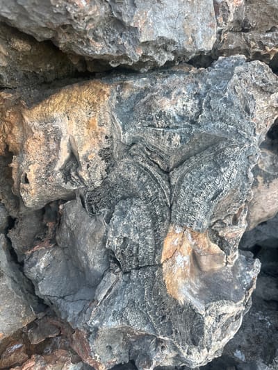 The image displays a close-up, overhead view of a pile of weathered, rough-textured rocks. The rocks are primarily gray and brown, with some lighter patches and streaks of orange and white. The surfaces are irregular, featuring crevices, fissures, and layered textures that suggest significant erosion and age. The lighting casts subtle shadows, emphasizing the ruggedness of the material. No people or animals are visible. This formation is located in Seoca, Montenegro.