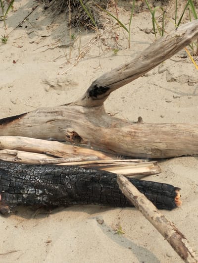 A close-up, eye-level shot depicts several pieces of driftwood and charred wood on a sandy beach. The driftwood is light brown and weathered, with visible grain and cracks. One large piece of driftwood is positioned diagonally across the frame, with its thicker end on the left and tapering towards the upper right. Another piece of lighter, split wood lies horizontally beneath it. At the bottom of the frame is a piece of charred wood, dark black with visible texture and cracks, suggesting it was burned. The sand is light tan, with some footprints and small pebbles visible. In the background, dry grass and some green vegetation are sparse, suggesting a dry, possibly summer, environment. The scene is located on a beach in Bibikha, Russia.