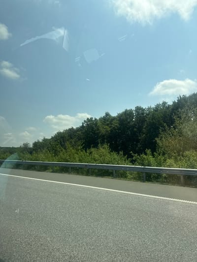 The image is presented rotated 90 degrees counter-clockwise, showing a view from inside a vehicle looking out a window. If correctly oriented (landscape), the photograph would display a bright, daytime scene of a road passing through a forested area.

On the right side of the corrected frame, a grey asphalt road is visible, marked by a distinct white solid line along its edge. Parallel to the road, a silver metallic guardrail runs, separating the road from the adjacent terrain. Beyond the guardrail, a dense expanse of lush green trees forms a thick forest, dominating the middle section of the image and suggesting a rural or natural environment. Above the treeline, a clear, light blue sky with scattered white cumulus clouds fills the left portion of the scene.

Prominent reflections are visible on the vehicle's window, particularly across the bottom and left areas of the image as it is currently oriented. These reflections show distorted forms, likely parts of the car's interior (such as a dashboard or window frame) along with additional, fainter reflections of the sky and clouds. The scene is brightly illuminated, indicating clear, sunny weather during the daytime. The overall impression is one of travel on a road. No individuals or visible text are present in the image. The setting is identified as Malko Tranovo, Bulgaria.