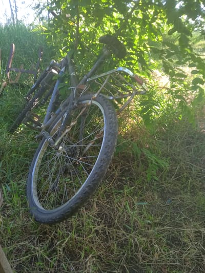 An old, possibly abandoned, bicycle lies on its side in overgrown grass and foliage. The bicycle is dark blue with a silver rack on the back. Its front wheel is prominent in the foreground, showing a knobby tire and spokes. The bicycle is partially obscured by lush green leaves and branches from what appears to be a tree or bush. The background is blurred with more greenery and sunlight filtering through the leaves, suggesting an outdoor setting. The scene appears to be in a natural, unkempt area.