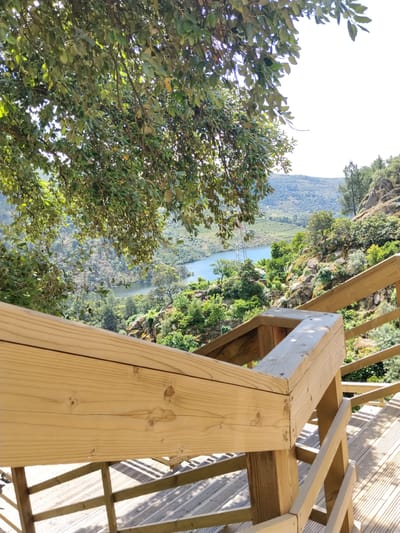 From an elevated vantage point in Alijó, Portugal, a wooden boardwalk descends into a verdant landscape. The boardwalk's railing, constructed of light-colored wood, fills the lower half of the frame. Beyond the railing, the view opens up to a scene of rolling hills and a body of water, likely a river, reflecting the bright sky. Lush green foliage dominates the landscape, with trees both in the foreground and on the hillsides. A few rocky outcrops are visible amongst the vegetation. An electrical tower can be seen in the distance. A tree overhangs the boardwalk, partially obscuring the scene above. The sky is bright, suggesting a sunny day.