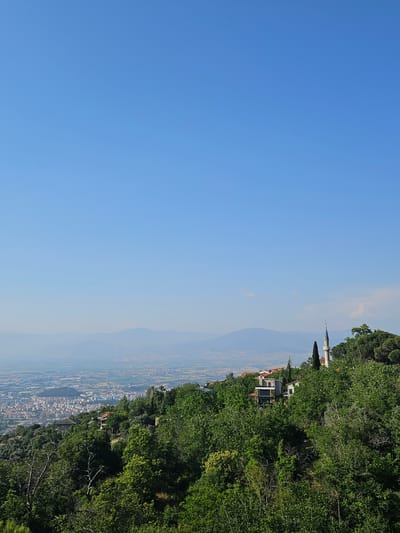 This detailed image presents an elevated panoramic view of the city of Tire, Turkey. The upper portion of the frame features a vast, clear, light blue sky with a few faint clouds visible on the right horizon. Distant, hazy mountain ranges are visible across the mid-line of the image, appearing as layered blue-grey forms. Below these mountains, the expansive valley of Tire stretches out, revealing a mix of urban development with numerous buildings and tracts of agricultural land. The lower and right side of the image is dominated by a densely vegetated hillside covered with vibrant green trees and foliage. Nestled within this greenery on the right, a white mosque minaret with a blue conical roof stands prominently. Below and to the left of the minaret, several residential buildings with varied architectural styles, including a modern multi-story structure and houses with terracotta roofs, are partially visible amidst the trees. Tall, slender cypress trees are also present near the mosque. The scene is devoid of people and is illuminated by bright daylight.
