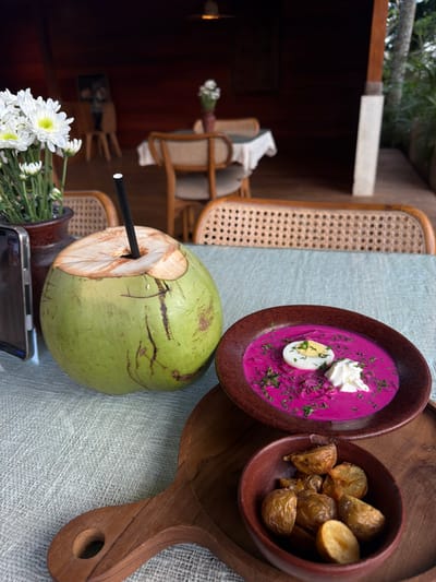 The scene presents a dining table setting in Petulu, Indonesia, focusing on a culinary presentation. On a light-colored, textured tablecloth, a wooden serving board holds two earthenware bowls. One bowl contains a bright pink soup, possibly beetroot-based, garnished with a dollop of white cream, halved hard-boiled egg, and chopped herbs. The second bowl contains small, roasted potatoes.
Next to the board, a green coconut with a straw inserted sits atop a dark vase containing white daisies. A smartphone is positioned beneath the coconut.
A woven rattan chair is visible in the foreground and background, suggesting an outdoor or semi-outdoor dining setting. Other tables and chairs are present in the background. The lighting appears natural, and the background is partially obscured by greenery.