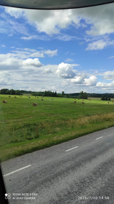 The image captures a pastoral scene in the vicinity of Olustvere, Estonia, on July 10, 2026, at 14:58. A vast, green field stretches across the midground, dotted with numerous round hay bales. The field is bordered by a dense line of trees in the background, with a subtle hint of cultivated land or further fields visible beyond the treeline. The sky above is a vibrant blue, adorned with a scattered arrangement of white, cumulus clouds, suggesting fair weather. In the foreground, a paved road with white lane markings is visible, implying the vantage point is from a vehicle traveling along this route. The overall impression is one of rural tranquility and agricultural activity under a summer sky.