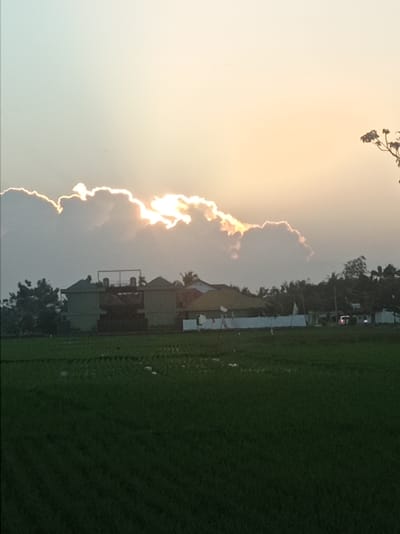 The image depicts a sunset over a rural landscape in Kelurahan Oluhuta Utara, Indonesia. The sky is dominated by soft, golden light breaking through luminous clouds, with the sun partially obscured. In the middle ground, a cluster of buildings with muted green and brown facades is visible, some featuring tiered roofing and visible structural elements. A white fence runs horizontally in front of these structures, with some scattered white objects along its length. Beyond the buildings, a line of trees forms a dark silhouette against the brighter sky. In the foreground, a vast expanse of dark green, cultivated fields, likely rice paddies, stretches to the horizon. The overall impression is one of serene, natural beauty, with human habitation integrated into the agricultural setting.
