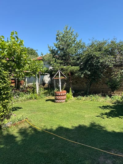 The image depicts a backyard scene in the city of Konop, Bulgaria. The foreground is dominated by a lush green lawn, with shadows cast by overhead trees. A yellow garden hose lies coiled across the grass. In the mid-ground, a decorative well constructed from stacked tires stands prominently. Behind the well, a brick wall serves as a backdrop, with various plants and trees surrounding it, including a mature pine tree. To the left, a grape vine with developing fruit is visible, climbing on a rustic support structure. A white building with a red-tiled roof is partially visible behind the foliage. The sky is clear and blue.