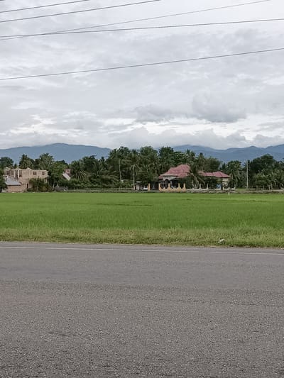 The image shows a roadside view of a rural landscape under an overcast sky. In the foreground, there is a paved road. Beyond the road, a vibrant green field of crops, likely rice paddies, stretches towards a line of lush trees and vegetation. Several structures are visible amidst the greenery, including a house under construction on the left and a larger building with a red roof further to the right. In the background, a range of mountains forms the horizon, their peaks softened by the atmospheric conditions. Overhead, several power lines are strung across the frame, indicating the presence of electrical infrastructure. The scene appears to be in a location with agricultural land and mountainous terrain, consistent with the geographical features of Bili, Indonesia.