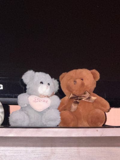 Two teddy bears are displayed on a shelf against a dark, textured background. The teddy bear on the left is light gray and holds a pink heart with the word "Love" embroidered in pink. It is adorned with a pale pink ribbon. The teddy bear on the right is brown and has a brown ribbon tied around its neck. The shelf appears to be made of light-colored wood with horizontal grain. The background is a dark, solid color with a subtle texture. The image is a close-up, with the shelf and teddy bears occupying the majority of the frame. There is no indication of the location being Bobrovo, Russia.