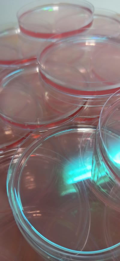 The image displays a close-up, overhead view of a stack of clear, round petri dishes. Each dish has a thin, red rim around its circumference. The dishes are stacked at various angles, obscuring some of them completely and revealing only parts of others. Light reflects off the plastic surfaces, creating a soft glow and some iridescent highlights, particularly a prominent aqua-colored light source in the foreground. The background is a blurred, warm-toned surface, possibly a countertop or table. The scene is a still life arrangement of laboratory equipment. There is no indication of the city of Asbest, Russia, or any other location.