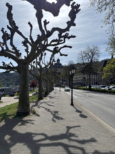 The image depicts a street scene in Cochem, Germany. A row of bare, pollarded plane trees lines a paved sidewalk adjacent to a street with parked vehicles. In the background, buildings are visible, and a castle sits atop a hill. Pedestrians can be seen in the distance, sitting on benches along the sidewalk. The shadows of the trees and lampposts are cast across the pavement. The sky is partly cloudy. The street appears to be a waterfront promenade.