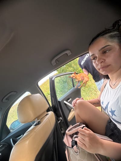 In Rupkite, Bulgaria, an interior view from a vehicle captures a scene through its open rear passenger door. An adult female with braided dark hair and medium-brown skin is seated in the front passenger seat, positioned on the right of the frame. She wears a white tank top adorned with blue star patterns, dark shorts, and a necklace, with a tattoo visible on her right forearm. Her left hand rests on a light pink and beige patterned handbag in her lap. Beyond the open rear door, a male figure, visible from the back in a black "RECARO" t-shirt, holds a small, light brown chihuahua-type dog. The dog's front paws are braced on the car's door frame, and it looks outward into an environment characterized by dense green foliage. The car's interior features a grey headliner and light beige leather seats.