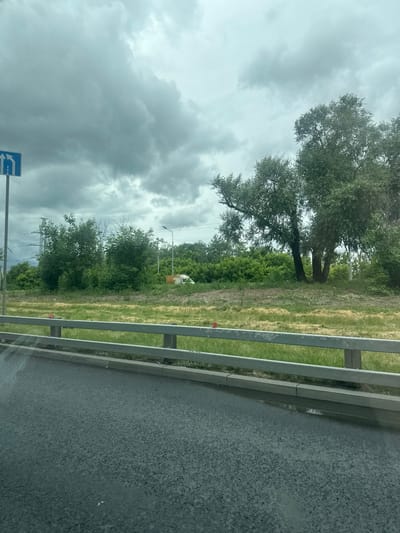 The image depicts a roadside scene with a cloudy sky overhead. In the foreground, a wet asphalt road is visible, with some puddles reflecting the sky. A gray metal guardrail separates the road from a grassy embankment. Beyond the embankment, there is a line of trees and vegetation. A blue traffic sign with white arrows indicating lane direction is mounted on a pole to the left. In the background, several trees are prominent, with power lines and a lamppost visible between them. A white van is parked among the trees on the right side of the image. The overall impression is of a somewhat overcast day in an urban or suburban area, likely near a thoroughfare. The location is Dzerzhinsky, Russia.