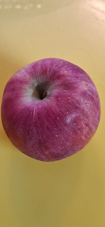 The image shows a close-up, top-down view of a single, red apple against a yellow background. The apple is the sole subject, occupying the majority of the frame. Its skin is predominantly a deep red with lighter streaks and speckles of pink and white. The apple is oriented such that its stem end is visible, with a small, brown stem protruding from the indentation. The background is a smooth, uniform yellow, providing a stark contrast to the apple's color. There are no people, animals, or any other objects present in the image. The lighting appears to be even, casting no distinct shadows, suggesting an indoor setting or diffused natural light. The focus is sharp on the apple, highlighting its texture and the subtle variations in its color. The overall impression is a simple, still-life composition. No text is visible in the image. The location context of Orimattila, Finland, does not provide any visual cues within the image itself.