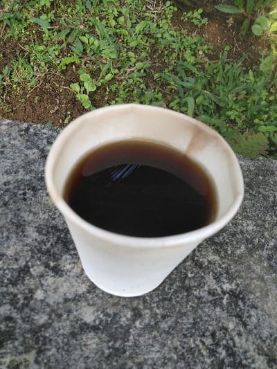 A white paper cup, approximately 80-90% full of a dark, opaque liquid, rests on a dark gray, mottled surface, consistent with granite or concrete. The cup is positioned in the lower-mid portion of the frame. The surface exhibits a varied texture with lighter flecks. The background reveals an area of disturbed brown soil interspersed with various green plant growths, including small leafed weeds and grasses, suggesting an outdoor environment such as a garden or patio. Faint reflections are visible on the surface of the liquid within the cup. No individuals, discernible actions, or interactions are depicted. The scene is located in Potočná, Czechia.