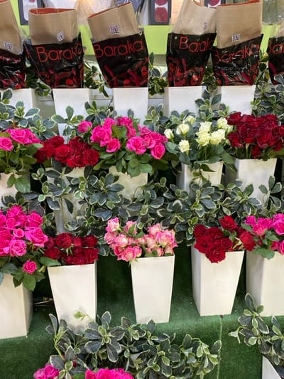 This image displays a multi-tiered commercial floral arrangement located within a premises in Sidi Moussa, Algeria. The display is populated with numerous bunches of small-budded roses, presented in white, square-tapered vases of varying heights. Rose colors observed include deep red, hot pink, light pink, and white/cream. Variegated green foliage is interspersed among the vases and along the display structure, creating a decorative backdrop. The base of the display is covered with a green artificial turf-like material. Positioned above the roses are multiple brown paper bags, each branded "Baraka" in black lettering and containing wrapped flowers; several of these bags prominently display legible QR codes. No individuals are present, and no actions or interactions are depicted within the scene.
