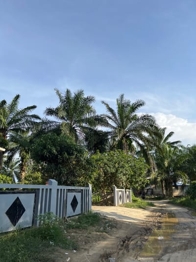 The image depicts a dirt road in Landuh, Indonesia, with palm trees and lush green foliage lining its sides. A white and gray patterned fence with diamond-shaped accents runs along the left side of the road, partially obscuring a gate. The road itself is muddy and rutted, with several puddles reflecting the bright blue sky, suggesting recent rainfall. In the background, more trees and some simple structures can be seen. The overall scene captures a rural or semi-rural environment in the Indonesian landscape under a clear sky with scattered white clouds.