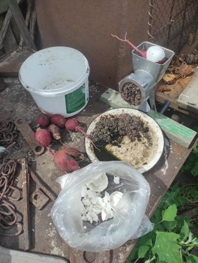 A scene of food preparation or processing is depicted on a weathered metal surface outdoors. In the foreground, a clear plastic bag contains a pile of shattered white eggshells. To the left of the bag, several radishes with green tops and exposed roots are scattered. Behind the radishes, a white plastic bucket with some residue inside is visible.

Dominating the mid-ground is a vintage metal meat grinder, which appears to have been used. A single radish with a long pink root is placed in the hopper of the grinder. Below the grinder, a white plate holds a mixture of finely ground material, likely the result of processing the radishes, along with some green debris and a small amount of liquid.

The background reveals a rusty metal fence and a rough, possibly wooden, structure. The overall impression is of a rustic, functional setting, possibly a backyard or an outdoor workspace. The image does not provide enough information to determine the exact location within the city of Некрасовка, Kazakhstan, or to identify any individuals present.
