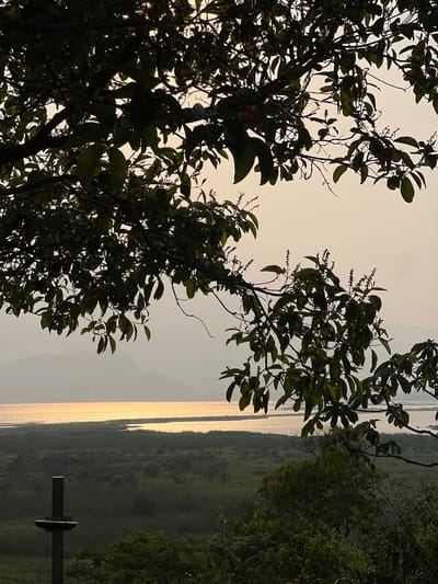 The photograph shows a landscape scene in Santa Cruz de Yojoa, Honduras, during golden hour. The foreground is dominated by tree branches with leaves, partially obscuring the view. In the background, a body of water reflecting sunlight can be seen. Adjacent to the water is a marshy or grassy area, likely part of the Yojoa Lake ecosystem. A cross-shaped structure is barely visible in the bottom right corner. The sky is pale, indicating early morning or late afternoon lighting.