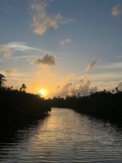 This image depicts a sunset over a river in Denipitiya, Sri Lanka. The sun, a bright orange orb, is partially obscured by clouds and trees on the horizon, casting a warm glow across the sky and reflecting on the water. Silhouetted palm trees and dense foliage line the riverbanks. The water's surface is rippled, with streaks of golden light shimmering across it. The sky transitions from a soft blue at the top to a pale orange and yellow near the horizon, with scattered clouds tinged with pink and gold. There are no people or animals visible in the image.