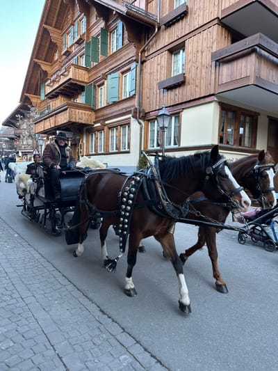 A horse-drawn carriage is observed in motion on a paved street in Gstaad, Switzerland. Two dark bay horses, each with white facial markings and white socks, are harnessed in black leather with silver studs and pulling a black, two-axle carriage. The lead horse, closer to the camera, has a decorative black tassel on its flank. Seated in the carriage is a male driver, wearing a dark hat and a multi-colored jacket, holding the reins. To his right sits a female passenger in a dark jacket. White sheepskin throws are draped over the passenger seat and along the carriage side.

The street surface consists of cobblestones on the left and a smoother asphalt-like surface on the right. Lining the street are multi-story buildings constructed in the traditional Swiss chalet style, featuring prominent wooden facades, carved balconies, and green-shuttered windows. A partial sign "Hotel L..." is visible on the building to the right of the horses, where an ornate dark lamppost is also affixed. Several blurry figures are visible further down the street on the left, and a baby stroller is partially visible in the far right background behind the second horse. The scene is illuminated by daylight.