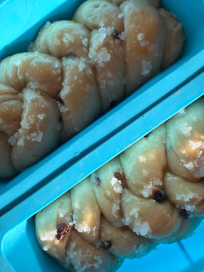 The image presents a close-up, angled view of two unbaked or proofed braided dough loaves, each contained within a distinct turquoise-blue silicone loaf mold. Each loaf exhibits a light beige color with visible twisted segments and is generously covered with coarse white sugar crystals. Dark brown raisins and small, light orange flecks, consistent with candied citrus peel, are embedded within the dough and among the sugar on the surface. Natural light illuminates the scene, highlighting the sugar crystals. No people are visible. This scene is located in the city of Bretton, United Kingdom.