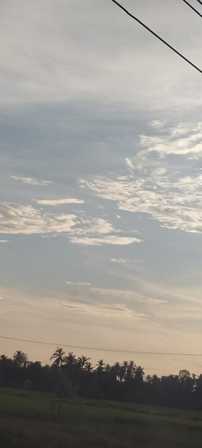 The image depicts a landscape in Kruengseupeng, Indonesia. A field occupies the foreground. In the midground, a line of trees, including palm trees, stretches across the horizon. Overhead, the sky is filled with light-colored clouds. Two dark, diagonal power lines extend from the top right corner.