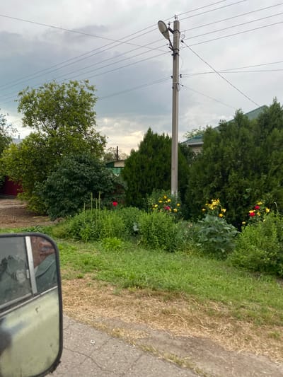 In Krylovskaya, Russia, an overcast sky looms above a street-side view. A tall concrete utility pole, equipped with a street lamp, stands prominently, its wires crisscrossing the sky. Adjacent to the pole, a lush garden bursts with life, featuring various green bushes, vibrant yellow and red flowers, and tall grass. Behind the garden, a house with a green roof peeks through the foliage. The foreground captures the side mirror of a vehicle, reflecting a person's arm and shoulder, suggesting movement or a paused moment in travel. The scene is typical of a suburban or rural setting within Krylovskaya.