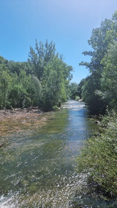 The image depicts a river flowing through a wooded area under a clear blue sky. The river is relatively wide with clear water that appears to have a rocky or sandy bottom in some areas. Sunlight reflects off the surface of the water, creating a shimmering effect. The banks of the river are lined with dense green foliage, with trees and bushes dominating the landscape. On the left bank, there is an area of exposed earth and rocks, suggesting a drier section of the bank. The river flows from the background towards the foreground and appears to be moving at a moderate pace with some small rapids visible. The scene conveys a sense of a natural, undeveloped environment. The specific location in Montagut i Oix, Spain, is not visually identifiable from the image alone.