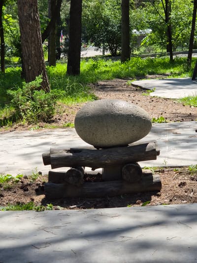 An outdoor scene in Arseniev, Russia, features a large, smooth, gray, oval-shaped boulder resting on a rustic wooden structure. The structure is composed of three horizontal logs, with two forming the base and one placed on top, supporting the boulder. The boulder is positioned centrally on the top log. The environment is a park or wooded area, with tall trees and lush green grass surrounding the display. Pine needles and pinecones are scattered on the ground, and a concrete pathway curves through the scene. Sunlight filters through the trees, casting shadows on the ground.