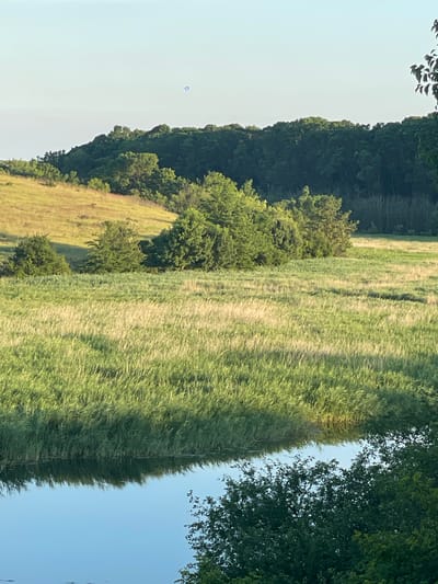 This image depicts a scenic view of a rural landscape, likely in Staevtsi, Bulgaria. The scene is dominated by a tall, verdant field of grass or reeds that stretches across the frame. To the left of the field, a steep, densely wooded hillside rises, covered in dark green trees. A lighter green, grassy slope with some scattered trees is visible between the wooded hillside and the taller grass field. In the clear, pale blue sky, a small, faint blue object, possibly a balloon or a distant drone, is visible. The lighting suggests it is daytime, with the sun casting shadows on the grassy slope, indicating either morning or late afternoon. The overall impression is one of peaceful natural beauty. There is no text visible in the image.