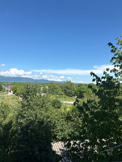 This is a high-angle, full-shot image captured on a bright, sunny day, overlooking a rural or semi-rural area that appears to be on the outskirts of Tskhinvali, South Ossetia. The foreground is dominated by dense green foliage from trees, with the corrugated roof of a building visible at the bottom edge.
In the mid-ground, a landscape unfolds featuring scattered houses with red-tiled roofs and some with beige exteriors, suggesting residential buildings. These are interspersed with more greenery and tall trees. A paved road runs through the scene, with a street lamp visible along its edge. A dark-colored vehicle is parked near one of the houses. The environment appears lush and well-vegetated, with tall grasses and bushes alongside the road and between the buildings.
The background is characterized by rolling hills and a mountain range stretching across the horizon, partially obscured by haze or distance. The sky is a vibrant blue, punctuated by scattered white cumulus clouds, and a few distant birds are visible. A faint contrail from an airplane streaks across the upper left portion of the sky. The overall impression is one of a serene, sunny day in a tranquil, possibly developing, community.