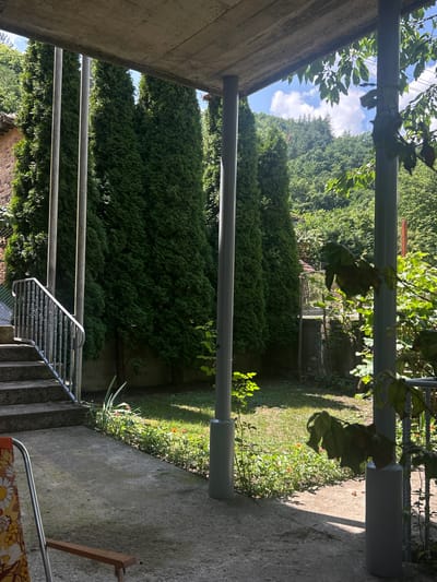 The image depicts a garden area with a concrete patio in the foreground, leading to a set of outdoor stairs with a metal railing. Several tall, green cypress trees are lined up along a wall behind the patio, with a grassy area and flower beds in between. In the background, a densely forested hillside rises under a partly cloudy sky. The scene is bathed in natural light, suggesting an outdoor daytime setting. No people are visible in the image. The location is identified as Martinovo, Bulgaria.