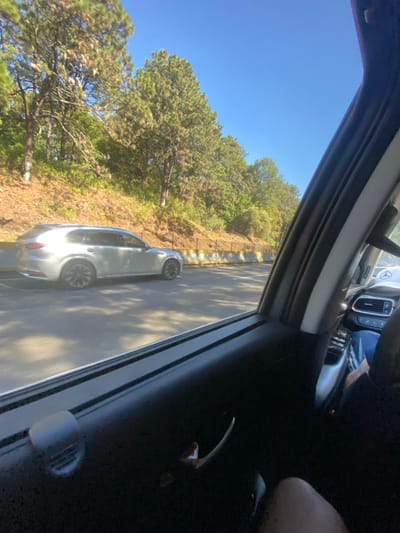 Captured from inside a car, a silver vehicle drives on an asphalt road. Trees line the road's edge with a clear blue sky above. The car's interior details, including the dashboard and door panel, are visible in the foreground, framing the roadside scenery.