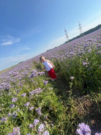 A young girl with blonde hair pulled back in a ponytail stands in a vast field of purple flowers under a clear blue sky. She is wearing a white tank top with a red heart pattern and red pants. The field stretches out behind her, vast and undulating, with tall green stalks and dense clusters of purple blossoms. In the distance, two tall, red-and-silver lattice power line towers are visible, silhouetted against the sky. A line of trees forms a dark, green horizon behind the field. The ground in the foreground is a mix of soil and green vegetation. The image appears to be taken in the Sovkhoza "Pyatiletka", Russia, based on the provided context.