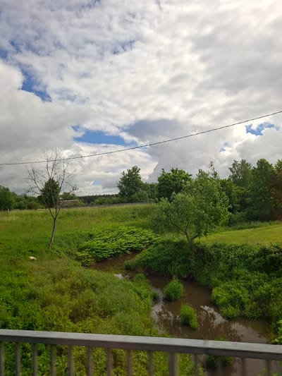 The image captures a natural landscape scene, likely in Balbieriškis, Lithuania, with a focus on lush greenery and a meandering body of water. In the foreground, a metal railing suggests a vantage point, possibly a bridge or elevated walkway. Beyond the railing, the terrain is covered in dense, vibrant green vegetation, with a small, dark-water stream winding through it. Patches of taller, bush-like plants emerge from the water.
Further back, the landscape opens up to a field of tall green grass. A solitary, bare-branched tree stands prominently in this field, its stark silhouette contrasting with the surrounding foliage. In the middle ground, more trees form a dense woodland, with varied shades of green indicating different species and ages. A hint of a building, possibly a house with a red roof, is visible through the trees in the distance.
The sky above is dynamic, with a mix of heavy, grey clouds and patches of bright blue sky. A thin, black wire stretches horizontally across the upper portion of the frame, possibly a power line or telephone wire, subtly dividing the sky. The overall impression is one of a tranquil, pastoral setting on a cloudy but potentially sunny day.