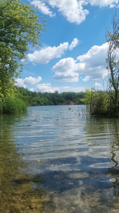 This image depicts a body of water with reflections of the sky and clouds. The foreground shows shallow, clear water with a rocky, sandy bottom. Reeds and tall grasses line the left bank, with dense green trees forming a backdrop. The right bank features more trees and brush, some with bare branches. In the middle distance, two dark figures, possibly birds or waterfowl, are present on the water. The sky above is a bright blue with scattered white clouds. The location is identified as the city of Mala Smilianka, Ukraine, specifically a quarry lake.